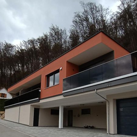 ריאדנבורג Ferienwohnungen Am Schlossberg מראה חיצוני תמונה